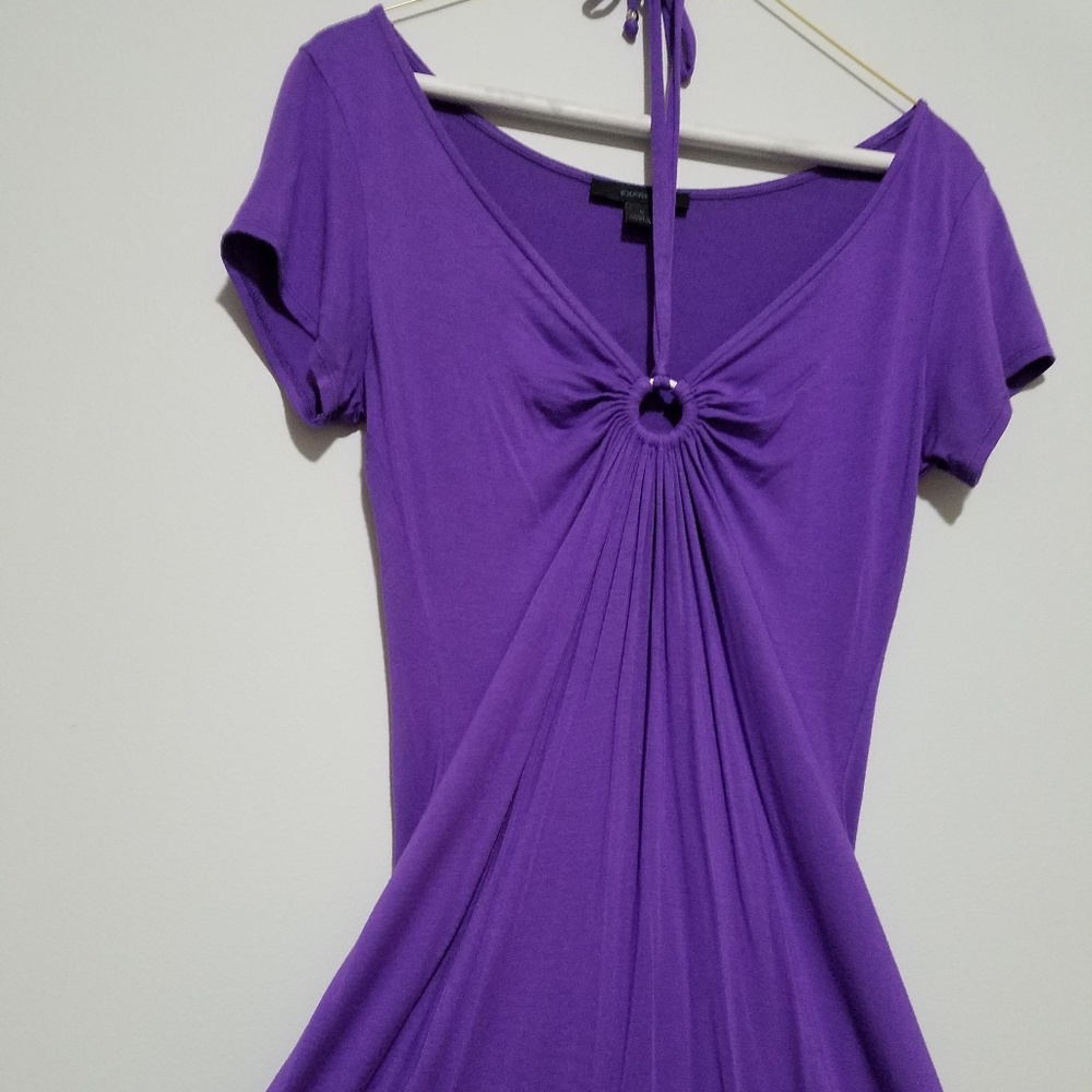 Never Worn Purple Express Dress